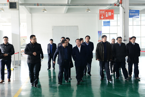 王顶岐参观考察开云电子体育公司