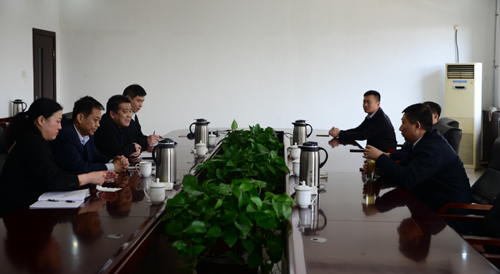 汶上县委副书记、县长李洪文到开云电子体育公司调研